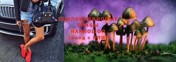 Альфа ПВП Нефтегорск
